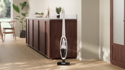 2v1 electrolux